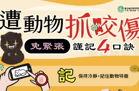 【宣導】狂犬病預防「二不一要」，共同守護校園安全！